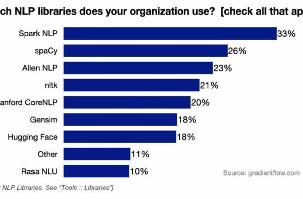2020 NLP Survey Report