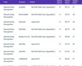 Biomedical Named Entity Recognition at Scale