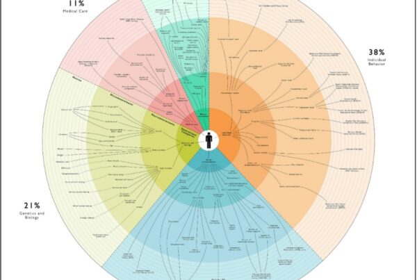 Figure 1: Social Determinants of Health