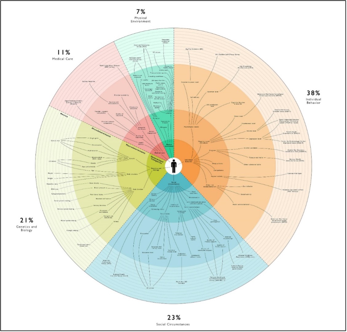 Figure 1: Social Determinants of Health