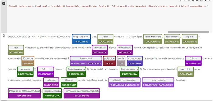 Spark NLP: A Versatile Solution for Structuring Data from Endoscopy Reports