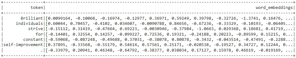 Tokens and their corresponding embeddings.