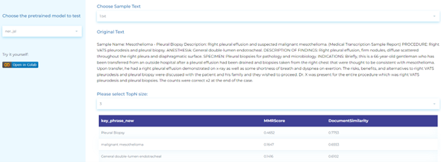 Clinical natural language processing for extracting chunk key phrases in medical texts.