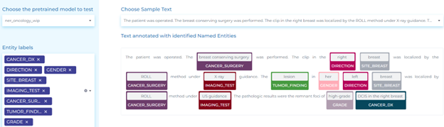 NLP for identifying anatomical and oncology entities related to different treatments and diagnosis from clinical texts.