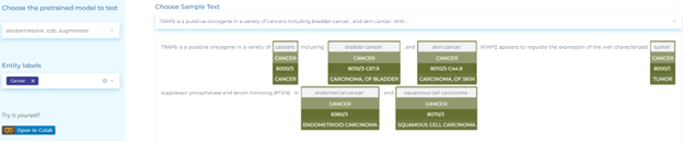 NLP for mapping oncology terminology to ICD-O codes using entity resolvers.