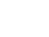 Technology Partners